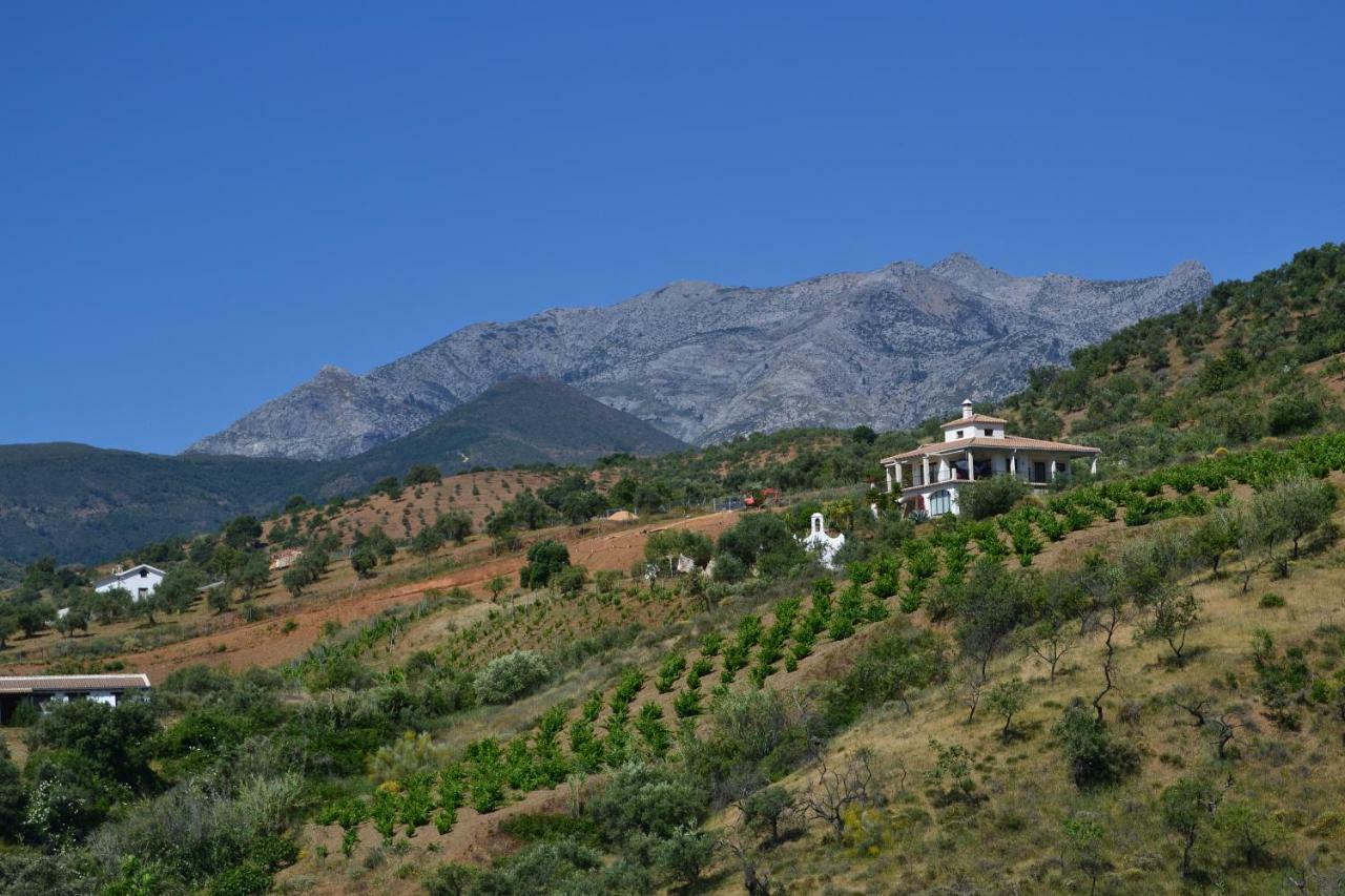 The African House Bed & Breakfast Tolox Dış mekan fotoğraf